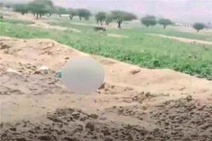 جريمة مروعة تهز محافظة عمران اليمنية

