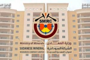 السودان: تشكيل فريق تحقيق بعد تداول فيديو لنفوق الضأن في منطقة تعدين تقليدية