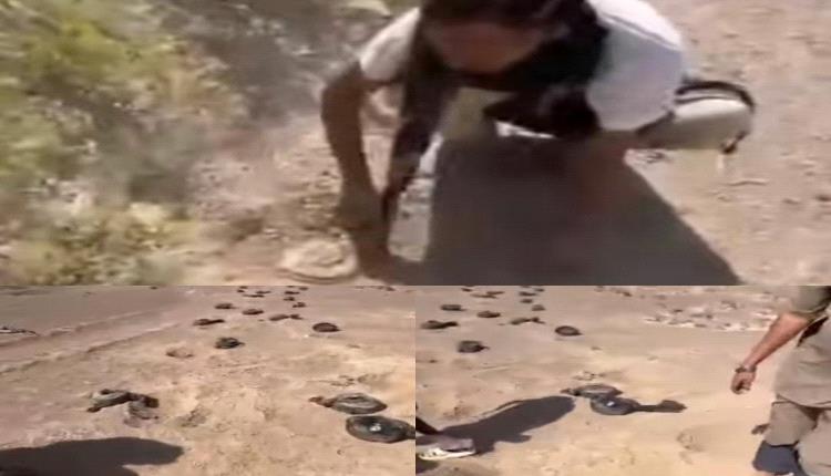 اكثر من 40 كيلو متر مربع قامت مليشيات الحوثي بزراعة الألغام