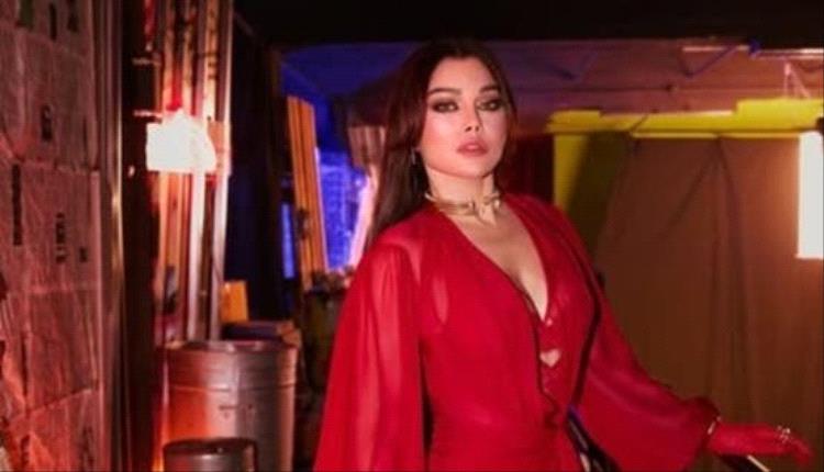 في قضية هيفاء وهبي.. السجن 3 سنوات وغرامة مالية لمدير أعمالها السابق