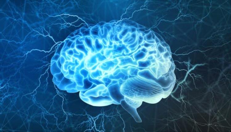 اكتشاف مدهش يحل لغز التجاعيد في دماغ الإنسان