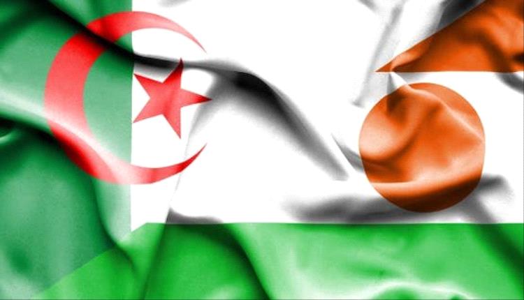 الجزائر.. تبون يقر إرسال وحدات من الجيش إلى النيجر
