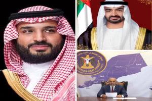 قراءة تحليلية للعميد أحمد عمر محمد حول الزيارات السعودية الإماراتية وظهور الزبيدي
