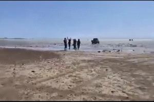 قوات العمالقة الجنوبية تصل باب المندب الجنوبي
رجال الجنوب العربي لو قالوا دوري تدور