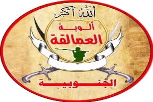 بلاغ هام من ألوية العمالقة الجنوبية: المصدر الوحيد لأخبار جبهات باب المندب