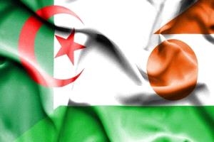 الجزائر.. تبون يقر إرسال وحدات من الجيش إلى النيجر