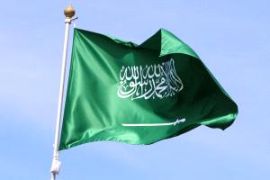 القضاء السعودي يرفض دعوى أقامها مستشار الملك ضد شركة "سينومي سنترز"
