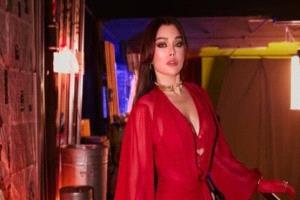 في قضية هيفاء وهبي.. السجن 3 سنوات وغرامة مالية لمدير أعمالها السابق