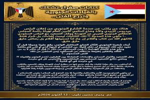 كتابات صفراء تشكك بالقيادات الجنوبية وتزرع الفتن..
