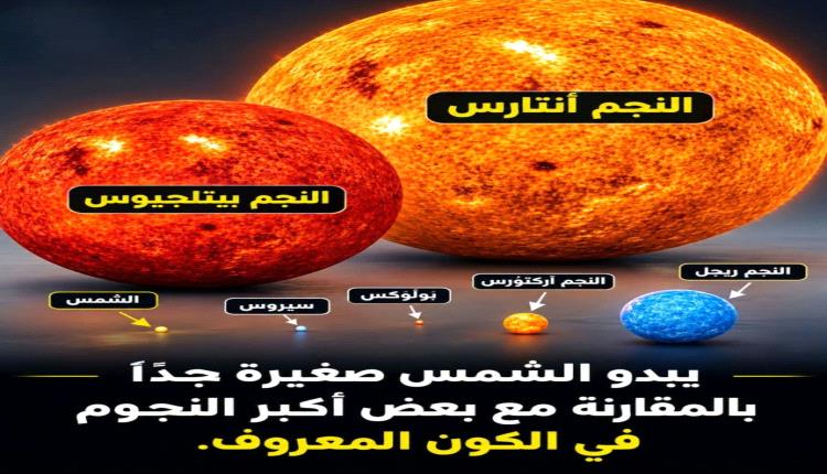 الشمس تبدو لنا عملاقة… لكن أمام بعض نجوم الكون تصبح مجرد نقطة!