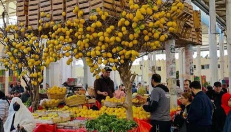 تونس.. تضامن واسع مع "بائع ليمون" بعد قرار بإزالة معرضه