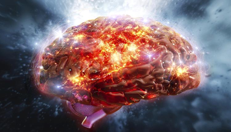 دراسة تكشف مرحلتين رئيسيتين لتغيرات الدماغ خلال حياة الإنسان