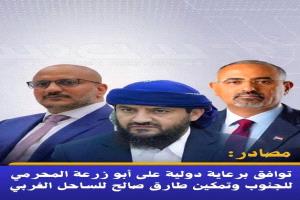 مصادر: توافق برعاية دولية على أبو زرعة المحرمي للجنوب وتمكين طارق صالح للساحل الغربي