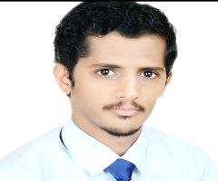 علاء عادل حنش